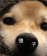 【表情包】柴犬表情包——出来聊天啊！