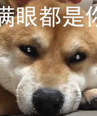 【表情包】柴犬表情包—满眼都是你╭( ･ㅂ･)و ̑̑